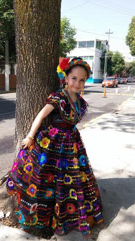 Chiapas dress Costume 7 rows 27\"