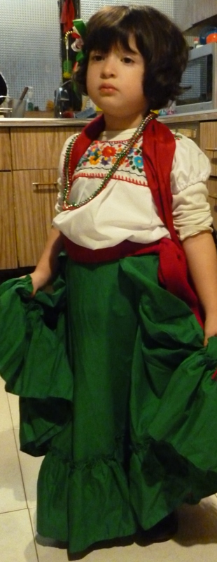 Practice Skirt Folklorico Dance Toddlers  20\" (50cm)